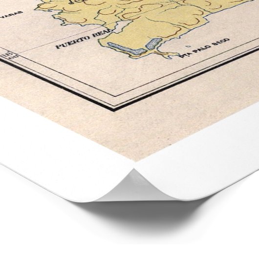 Puerto Rico Crop Map 1899 Poster (Hoek)