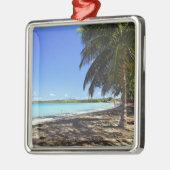 Puerto Rico, Fajardo, Culebra Island, Seven Zeeen Metalen Ornament (Links)