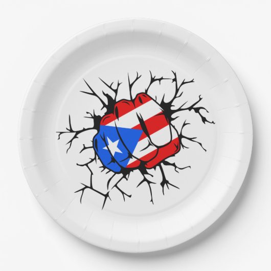 Puerto Rico Flag Papieren Bordje (Voorkant)