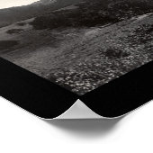 Puerto Rico Flamingo Foto 1914 Poster (Hoek)