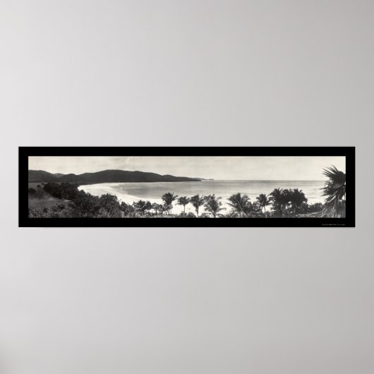 Puerto Rico Flamingo Foto 1914 Poster (Voorkant)