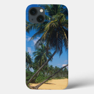 Puerto Rico, Isla Verde, palmbomen iPhone 13 Hoesje
