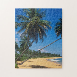 Puerto Rico, Isla Verde, palmbomen Legpuzzel