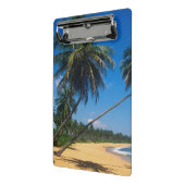 Puerto Rico, Isla Verde, palmbomen Mini Klembord (Angled2)