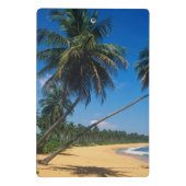 Puerto Rico, Isla Verde, palmbomen Mini Klembord (Achterkant)