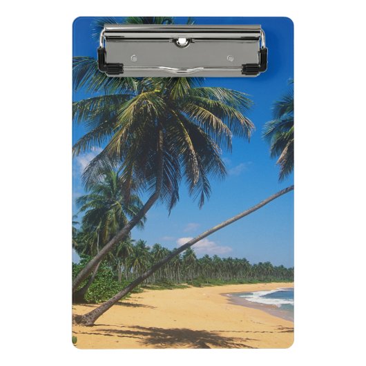 Puerto Rico, Isla Verde, palmbomen Mini Klembord (Voorkant)