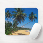 Puerto Rico, Isla Verde, palmbomen. Muismat (Met muis)