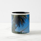 Puerto Rico, Isla Verde, palmbomen. Tweekleurige Koffiemok (Center)