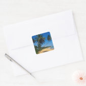 Puerto Rico, Isla Verde, palmbomen. Vierkante Sticker (Envelop)