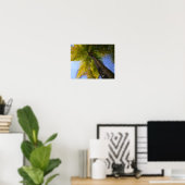 Puerto Rico Palm door RZB Poster (Thuiskantoor)
