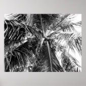 Puerto Rico Palm | POSTER (Voorkant)