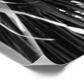 Puerto Rico Palm | POSTER (Hoek)