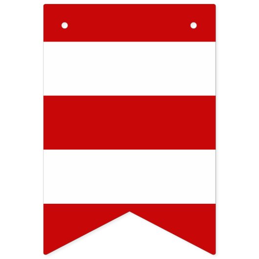 Puerto Rico Party Banner (Tweede vlag)