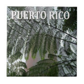 Puerto Rico Rainforest Tower Photo Souvenir Tegeltje (Voorkant)