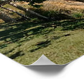 Puerto Rico, Ricon, El Faro Poster (Hoek)