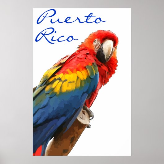 Puerto Rico Scarlet Macaw Poster (Voorkant)