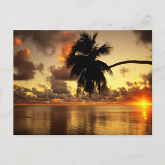 Puerto Vallarta Briefkaart