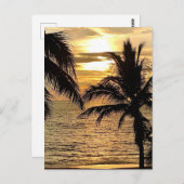 Puerto Vallarta Golden Summer Sunset Briefkaart (Voorkant / Achterkant)