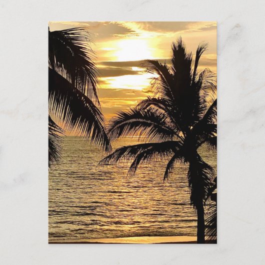 Puerto Vallarta Golden Summer Sunset Briefkaart (Voorkant)