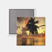 Puerto Vallarta Magneet (Voorkant / Achterkant)