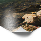 Puerto Vallarta Marina Foto Afdruk (Hoek)