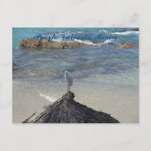 Puerto Vallarta, Mexico. Garza Blanca Briefkaart