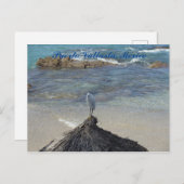 Puerto Vallarta, Mexico. Garza Blanca Briefkaart (Voorkant / Achterkant)