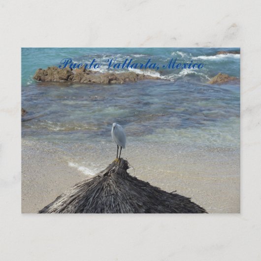 Puerto Vallarta, Mexico. Garza Blanca Briefkaart (Voorkant)