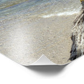 Puerto Vallarta Mexico-Garza Blanca Foto Afdruk (Hoek)