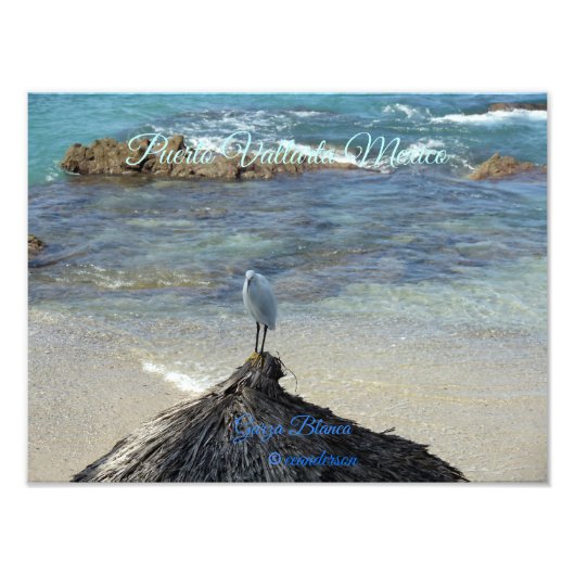 Puerto Vallarta Mexico-Garza Blanca Foto Afdruk (Voorkant)