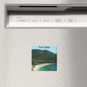 Puerto Vallarta, Mexico Magneet (Insitu (Vaatwasser))