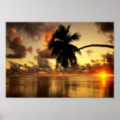 Puerto Vallarta Poster (Voorkant)