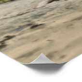 Puerto Viejo Beach Poster (Hoek)