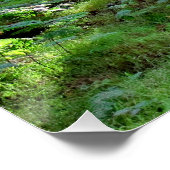 Puesta de Sol en el bosque Perfect Poster (Hoek)