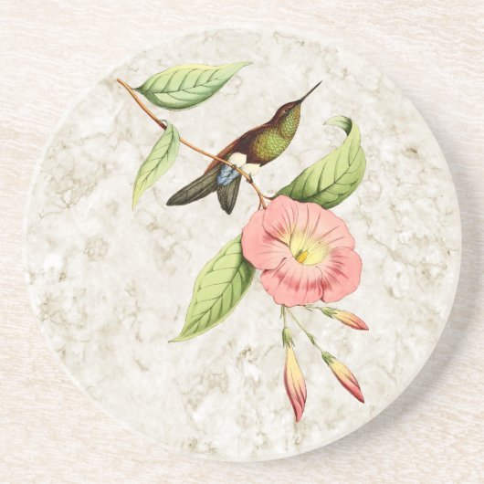 Puff Leg Hummingbird Sandstone Onderzetter (Voorkant)
