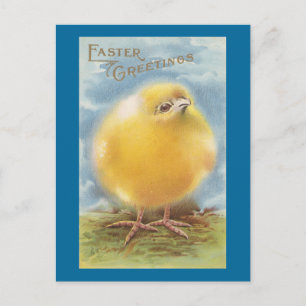 Puffball Chick Pasen Feestdagenkaart