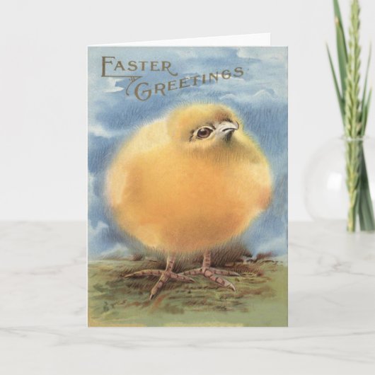 Puffball Fluffy Easter Chick Feestdagen Kaart (Voorkant)