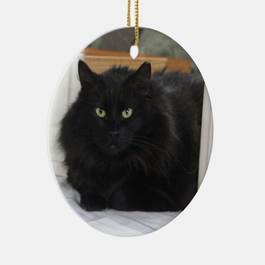 Puffball Keramisch Ornament (Rechts)