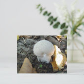 Puffball paddenstoel Briefkaart (Staand voorkant)