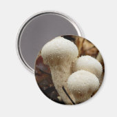 Puffball-paddenstoel Magnet (Voorkant / Achterkant)