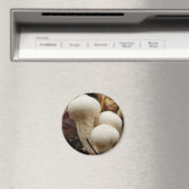Puffball-paddenstoel Magnet (Insitu (Vaatwasser))