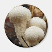 Puffball-paddenstoel Magnet (Voorkant)