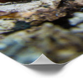 Puffball paddenstoelen die op boomstronk groeien poster (Hoek)