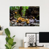 Puffball paddenstoelen die op boomstronk groeien poster (Thuiskantoor)