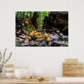 Puffball paddenstoelen die op boomstronk groeien poster (Keuken)