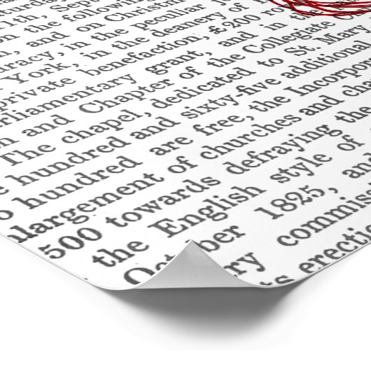 Puffer Fish-ballonnen Poster (Hoek)