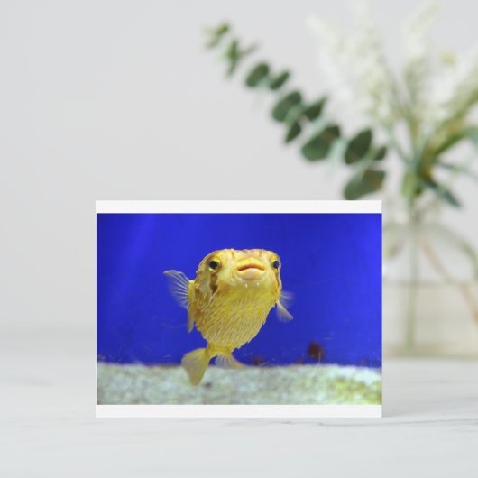 Puffer Fish Briefkaart (Staand voorkant)