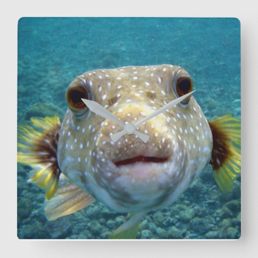 ***PUFFER FISH** FUN CLOCK VIERKANTE KLOK (Voorkant)