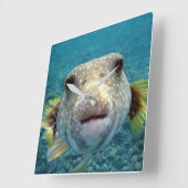 ***PUFFER FISH** FUN CLOCK VIERKANTE KLOK (Hoek)