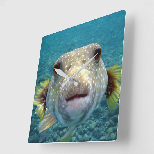 ***PUFFER FISH** FUN CLOCK VIERKANTE KLOK (Hoek)